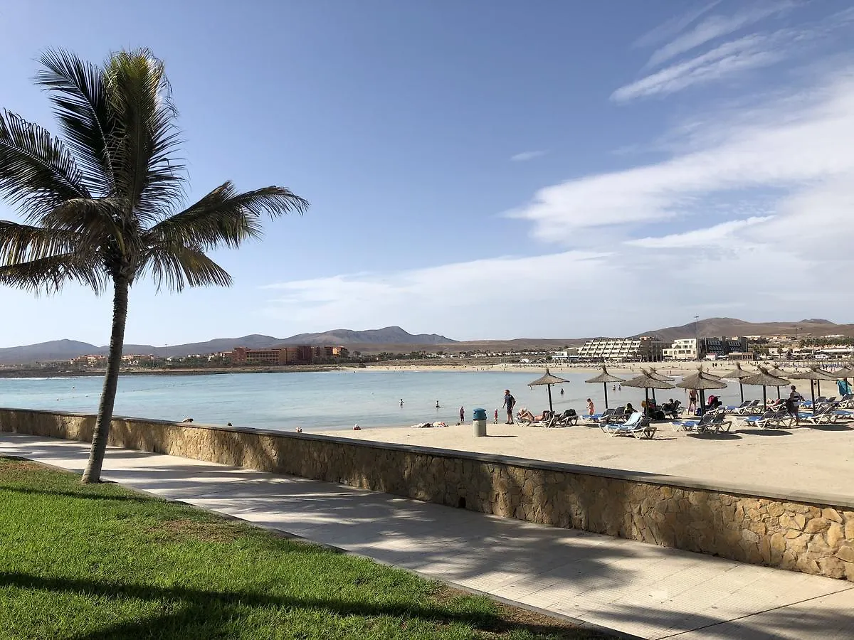 Hotel Ereza Mar - Adults Only Caleta De Fuste